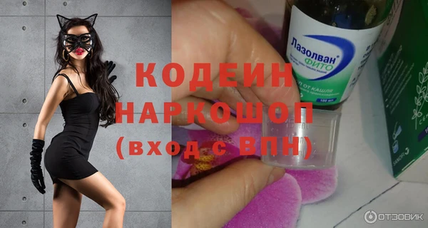 ешки Пересвет
