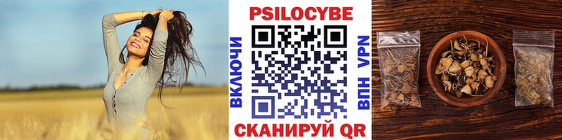 Галлюциногенные грибы прущие грибы  купить наркотики сайты  Сенгилей 